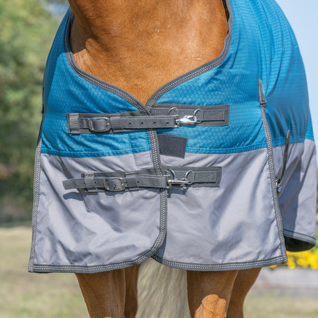 Premium Turnout Blanket, Medium Weight 200g, 600D