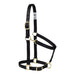 Poly Horse Halter, Adjustable, Weanling to Large