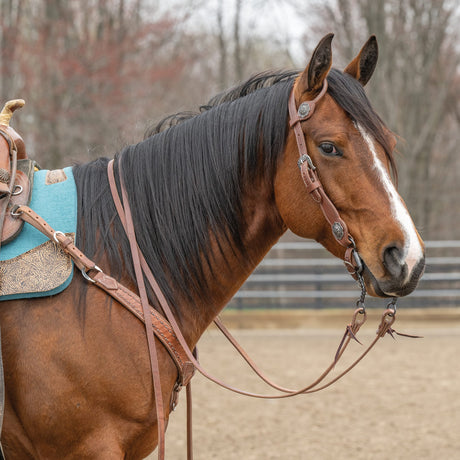 Contoured Sliding Ear Headstall