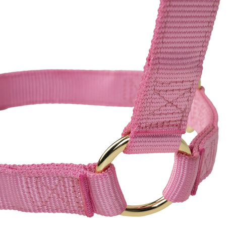 Poly Horse Halter, Non-Adjustable with Throat Snap, Weanling to Large