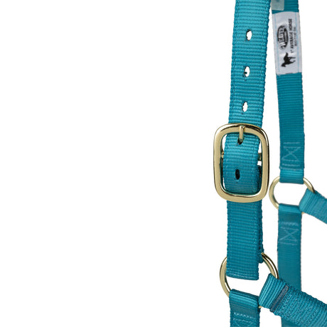 Poly Horse Halter, Non-Adjustable, Weanling to Large