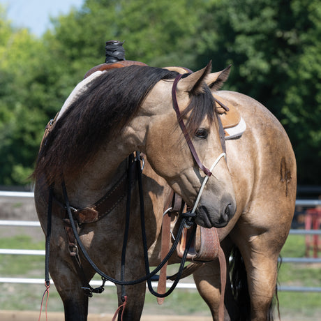 Loping Hackamore: Rope Noseband, Leather Hanger with Silvertip Split Reins