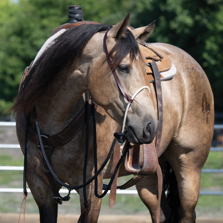 Loping Hackamore: Rope Noseband, Leather Hanger with Silvertip Split Reins
