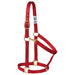 Poly Horse Halter, Non-Adjustable with Throat Snap, Weanling to Large