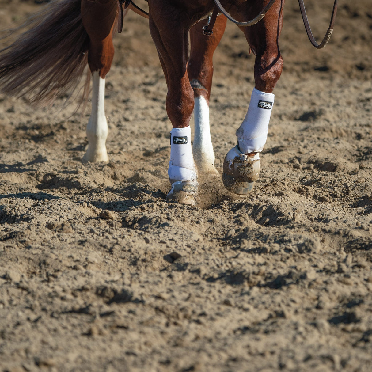 Prodigy® F3 Horse Sport Boots, Small
