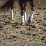 Prodigy® F3 Horse Sport Boots, Small