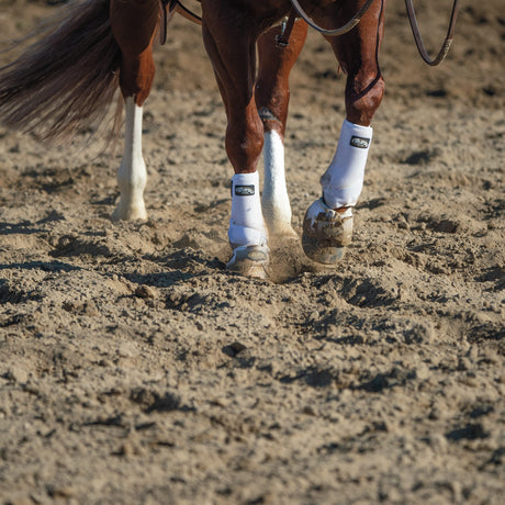 Prodigy® F3 Horse Sport Boots, Medium