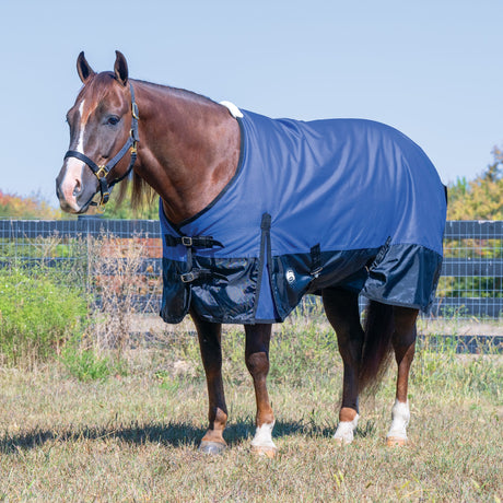 Economy Winter Turnout Blanket, Heavy Weight, 300g, 1200D