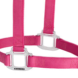 Original Non-Adjustable Nylon Halter, Chrome Plated Hardware, Average