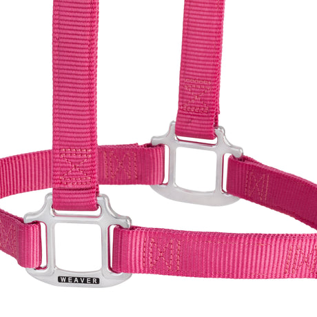 Original Non-Adjustable Nylon Halter, Chrome Plated Hardware, Average