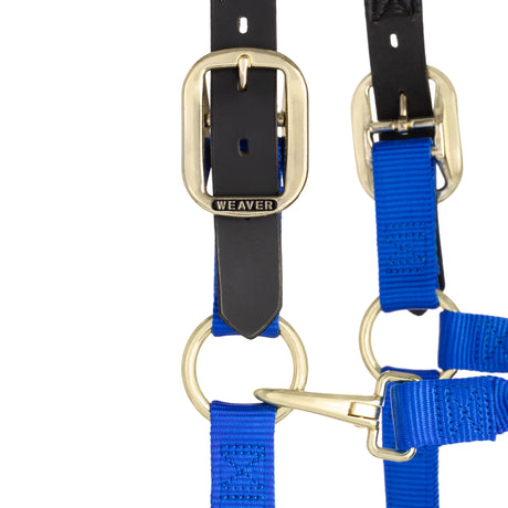 Original Padded Breakaway Halter Adjustable Chin, Throat Snap