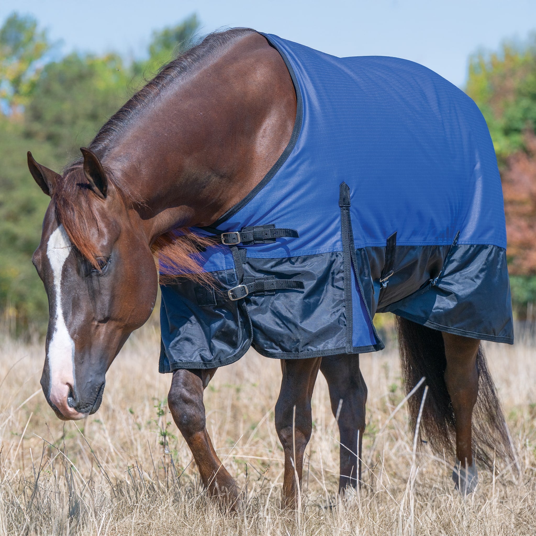 Horse Blanket for Turnout, Medium-Heavy 200g, 1200D | Weaver Equine