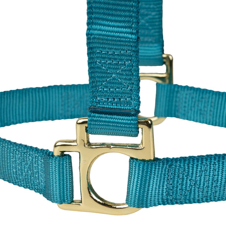 Poly Horse Halter, Non-Adjustable, Weanling to Large
