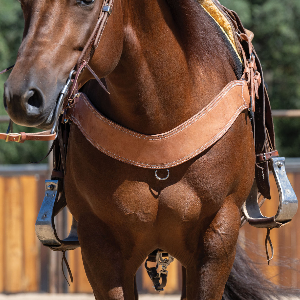 Heavy-Duty Steer Roper Breast Collar