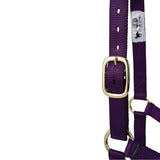 Poly Horse Halter, Non-Adjustable, Weanling to Large