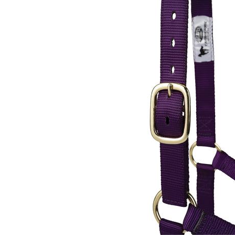 Poly Horse Halter, Non-Adjustable, Weanling to Large