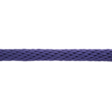Mini/Pony Lead with Brass Snap