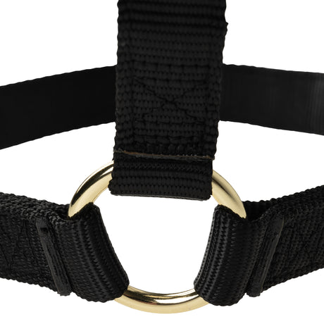 Poly Horse Halter, Non-Adjustable with Throat Snap, Weanling to Large