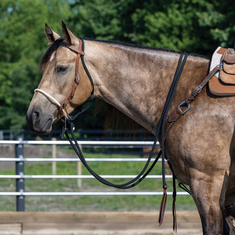 Loping Hackamore: Rope Noseband, Leather Hanger with Silvertip Split Reins