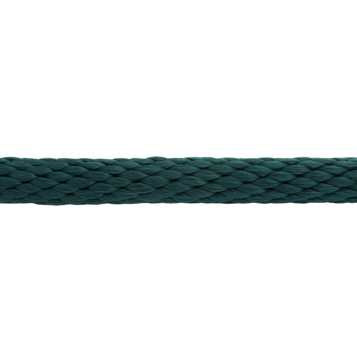 Poly Lead Rope with Brass Plated Swivel Chain