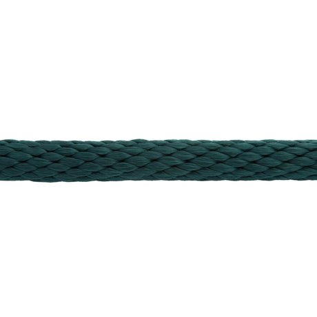 Poly Lead Rope with Brass Plated Swivel Chain