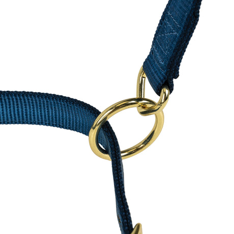 Poly Horse Halter, Adjustable, Weanling to Large