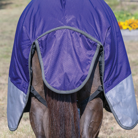 Premium Turnout Blanket, Medium Weight 200g, 600D