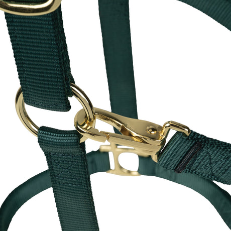 Poly Horse Halter, Non-Adjustable with Throat Snap, Weanling to Large