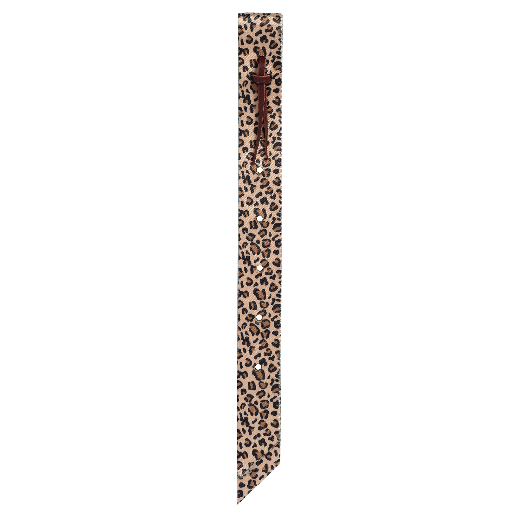 leopard_5cbffd30-809c-4a76-