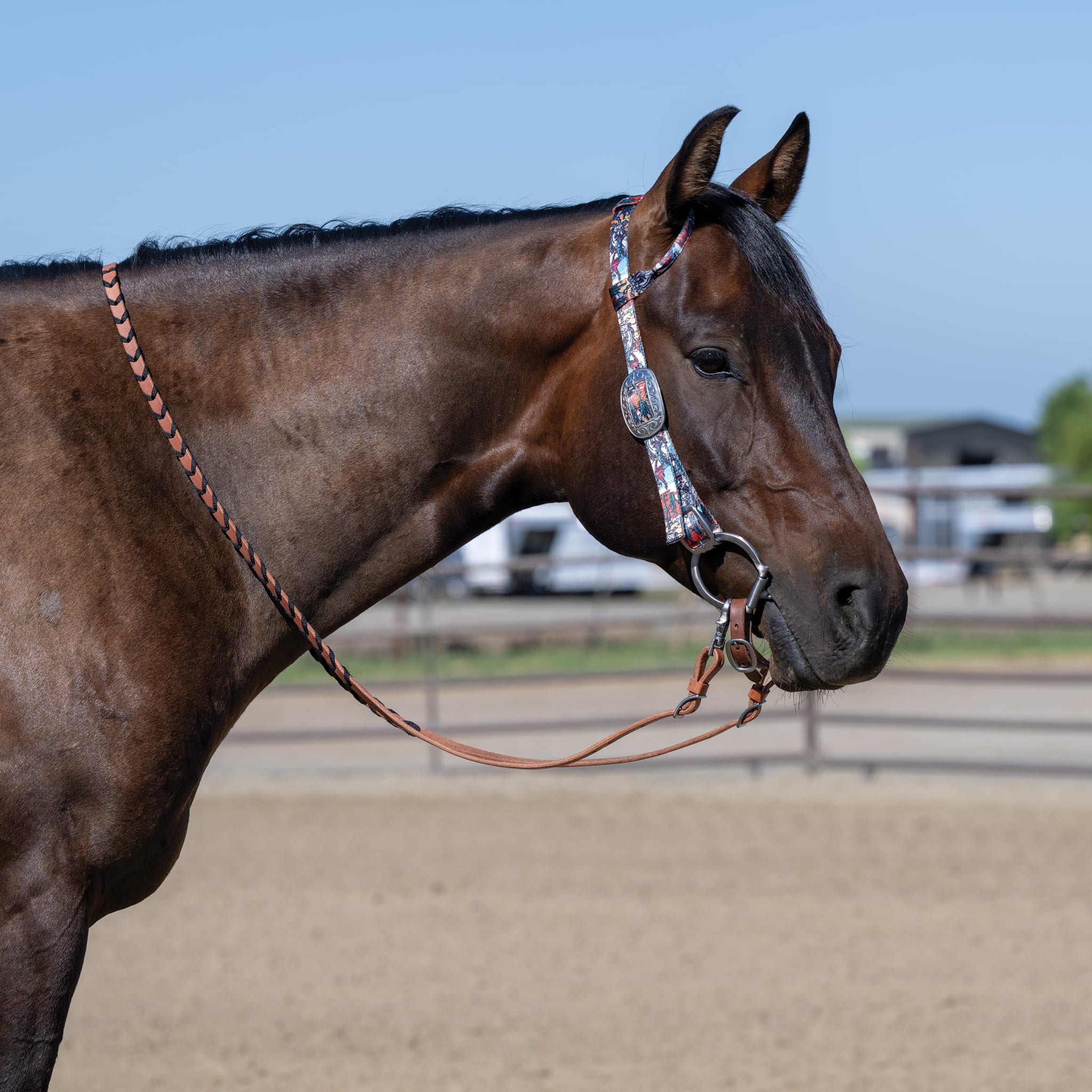 Patterned Poly Headstall - Weaver Equine