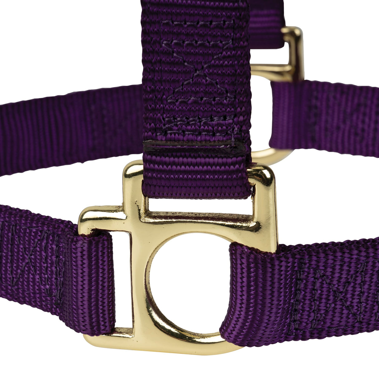 Poly Horse Halter, Non-Adjustable, Weanling to Large