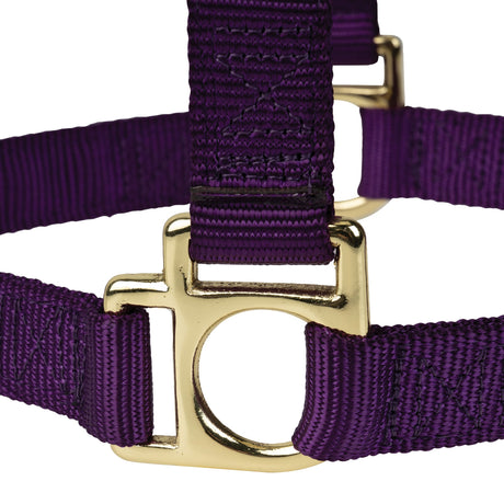 Poly Horse Halter, Non-Adjustable, Weanling to Large
