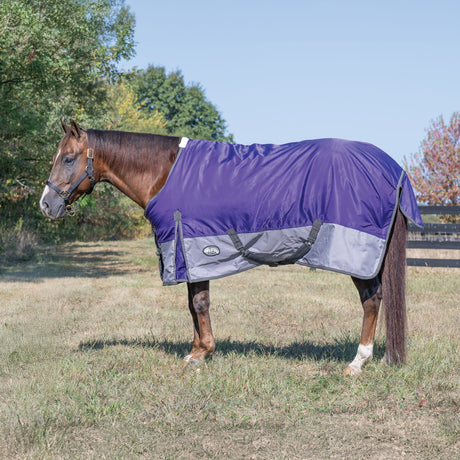 Premium Turnout Blanket, Medium Weight 200g, 600D