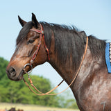 Texas Star Chestnut Browband Headstall