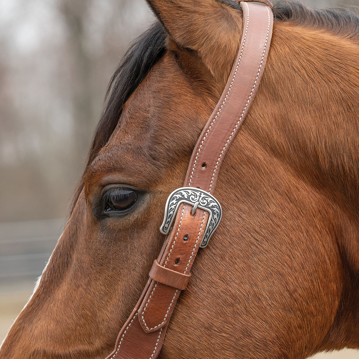 Contoured Sliding Ear Headstall