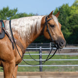 Black Leather Browband Headstall