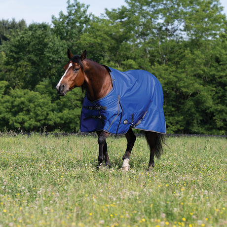 Premium Turnout Blanket, Medium Weight 200g, 600D