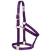 Poly Horse Halter, Non-Adjustable with Throat Snap, Weanling to Large