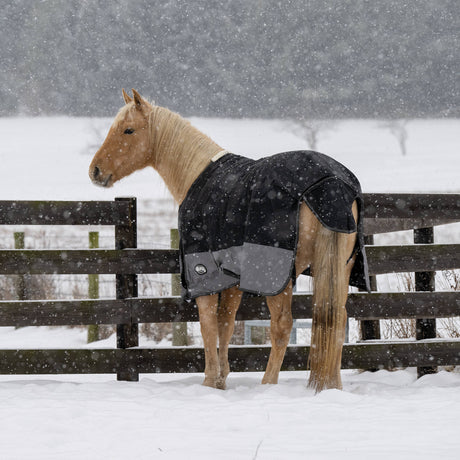 Premium Turnout Blanket, Medium Weight 200g, 600D