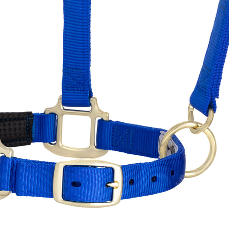 Original Padded Breakaway Halter Adjustable Chin, Throat Snap