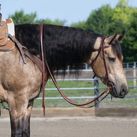 Extra Heavy Oiled Hermann Oak Harness Leather Split Reins, 8'
