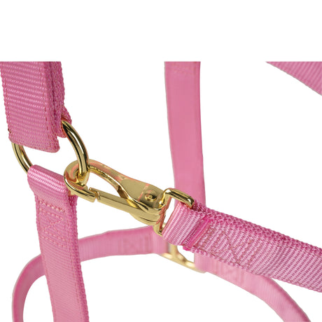 Poly Horse Halter, Adjustable, Weanling to Large