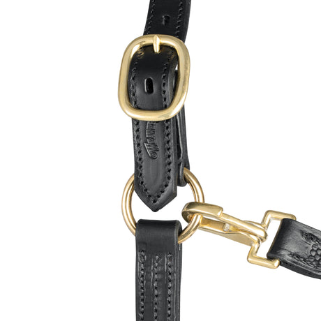 1" Triple Stitch Adjustable Leather Halter