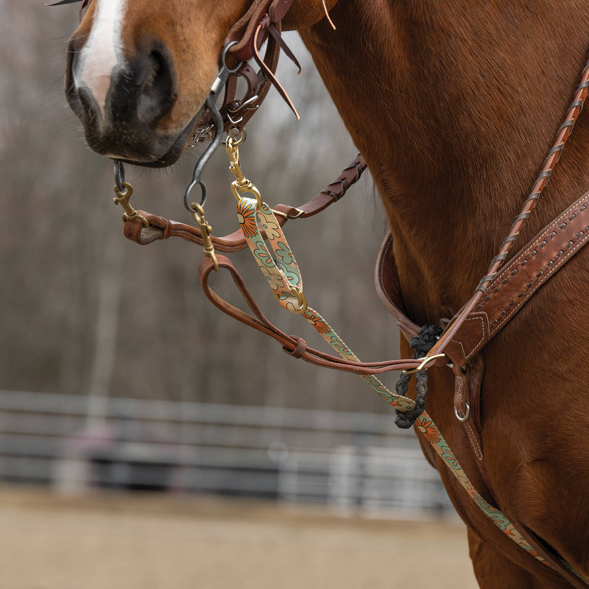 Patterned Deluxe Horse Tie Down Strap