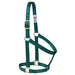 Poly Horse Halter, Non-Adjustable, Weanling to Large
