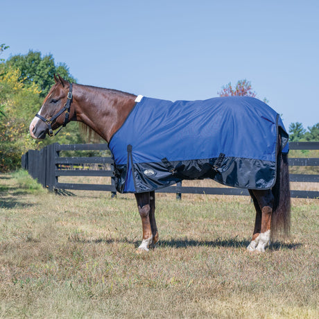 Economy Winter Turnout Blanket, Heavy Weight, 300g, 1200D