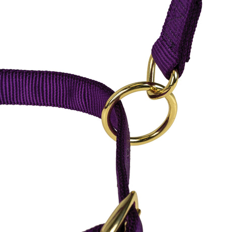 Poly Horse Halter, Adjustable, Weanling to Large
