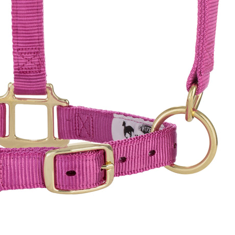 Breakaway Original Adjustable Chin and Throat Snap Halter, 1"