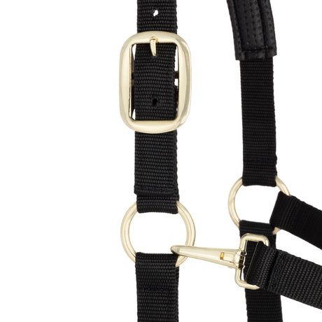 Padded Adjustable Chin and Throat Snap Halter, Solid Colors