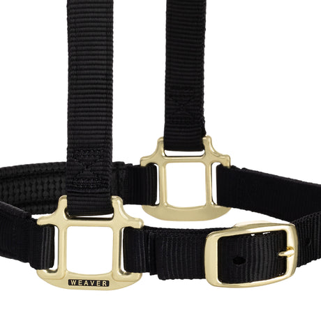 Original Padded Breakaway Halter Adjustable Chin, Throat Snap